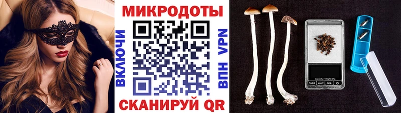 Галлюциногенные грибы Psilocybine cubensis Белинский
